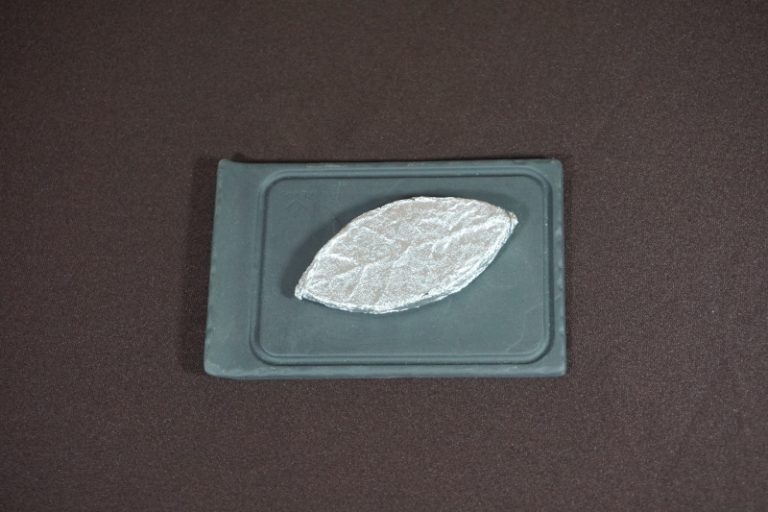 Nannuo Mountain Leaf Assamica White Tea