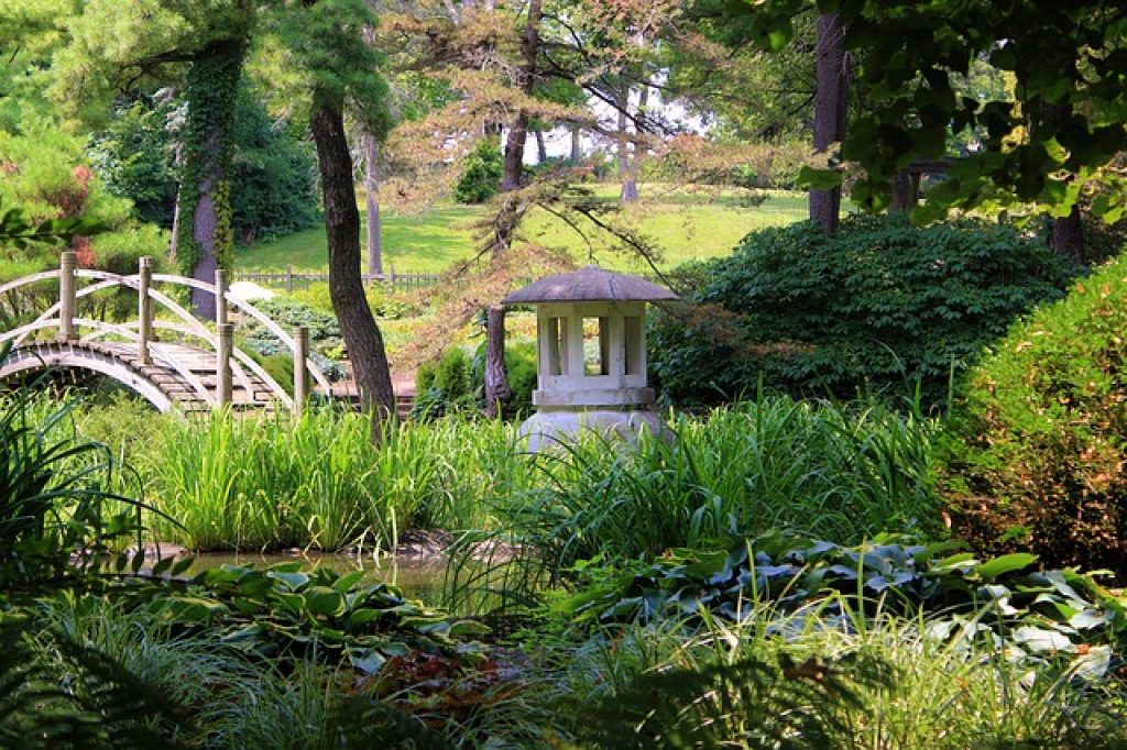 japanese tea garden