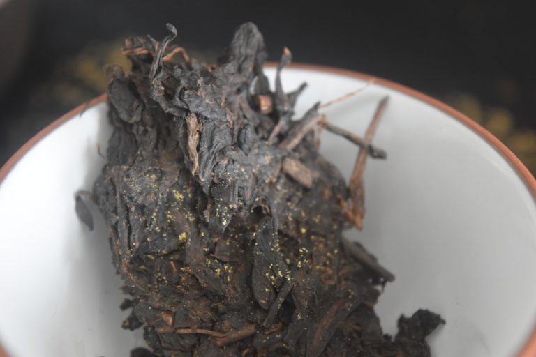 Jin Hua golden flower hei cha tea from Liu Bao