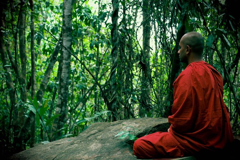 buddhist monk meditating in a forest