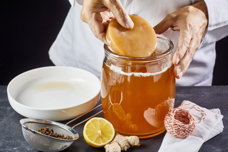 man placing scoby into kombucha