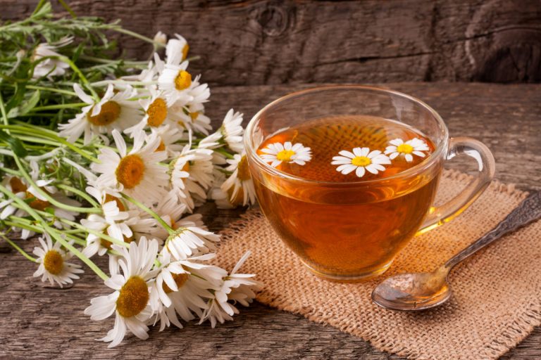 Herbal tea with fresh chamomile flowers