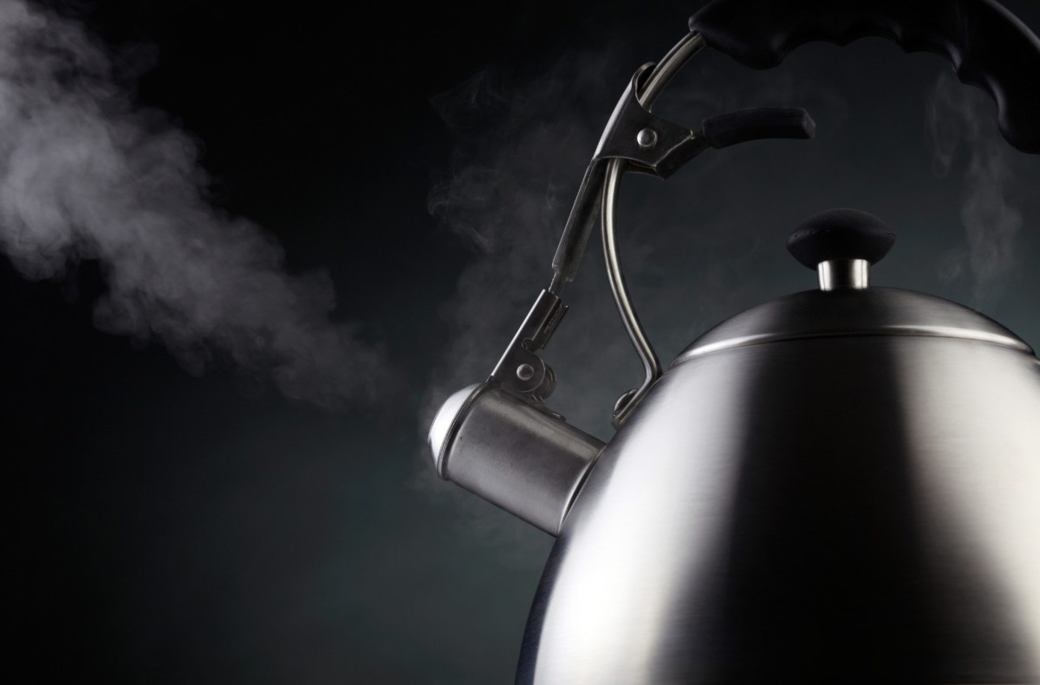 How to Choose the Perfect Tea Kettle