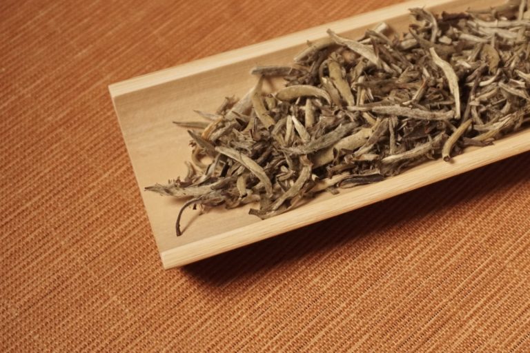 mountain rose herbs silver needle white tea closeup