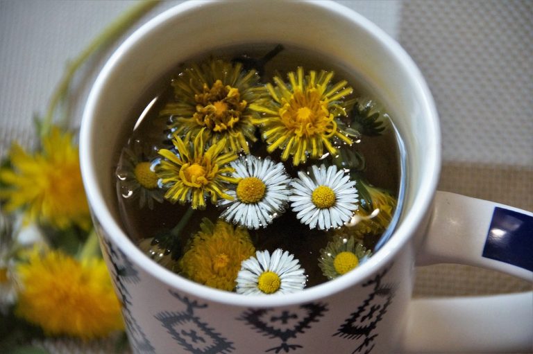 dandelion tea