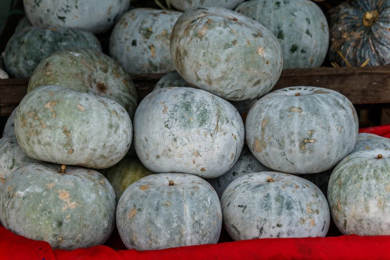 wintermelon fruit