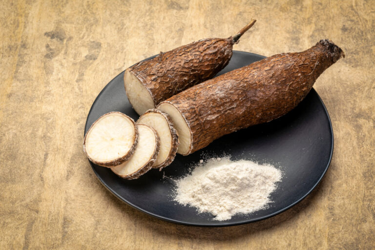 Yuca cassava root and flour