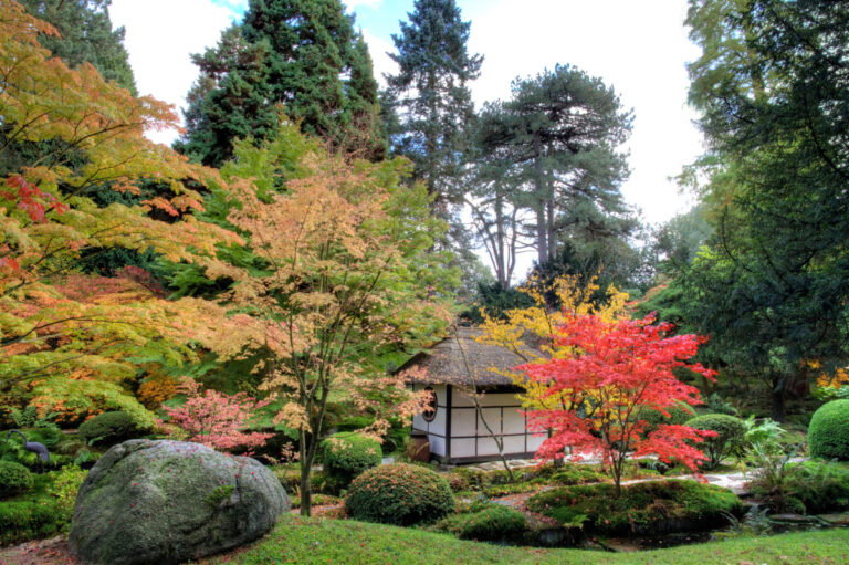 japanese tea house and garden